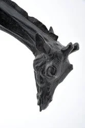 Large Giraffe with Lowered Head
