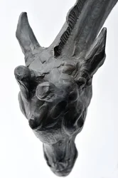 Large Giraffe with Lowered Head
