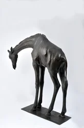 Large Giraffe with Lowered Head