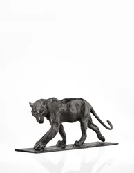 Panther walking, rear leg raised