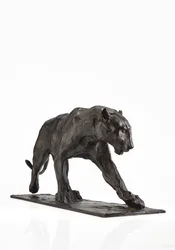 Panther walking, rear leg raised