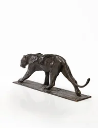 Panther walking, rear leg raised