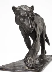 Panther Walking, Rear Leg Raised