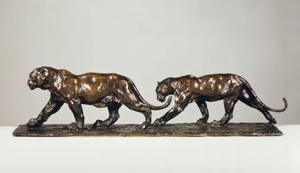 Two Jaguars