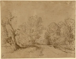 A Wooded Road