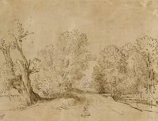 A Wooded Road