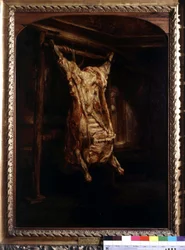 The Ox Peached by Rembrandt