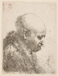Bald-headed Man (Rembrandt