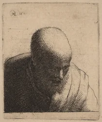 Bald Man with Open Mouth, Looking Down