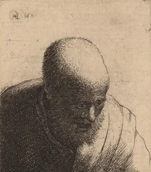 Bald Man with Open Mouth, Looking Down