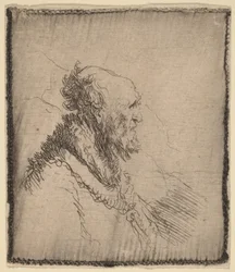 Bald Old Man with a Short Beard in Profile
