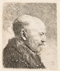 Bald Man in Profile