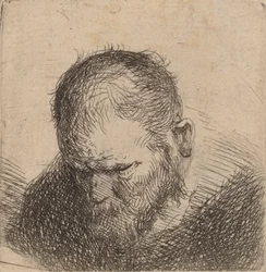 Bearded Man Looking Down, possibly 1631