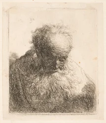 Bust of an Old Man with Flowing Beard: The Head Bowed Forward: Left Shoulder Unshaded