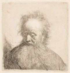Bust of an Old Man with Flowing Beard