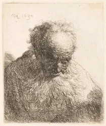 Bust of an Old Man with Flowing Beard: The Head Bowed Forward: Left Shoulder Unshaded
