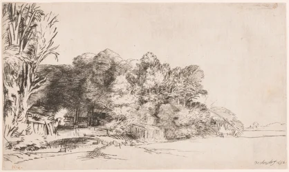 Clump of Trees with a Vista
