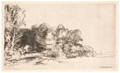 Clump of Trees with a Vista