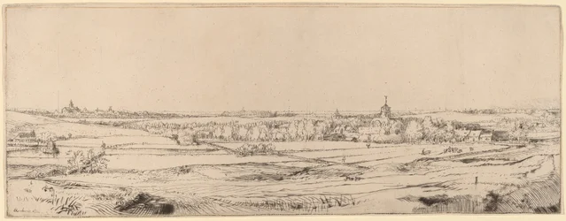 Landscape with a View toward Haarlem
