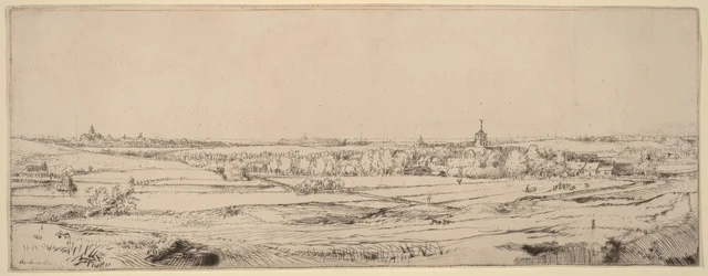 Landscape with a View toward Haarlem (The Goldweigher