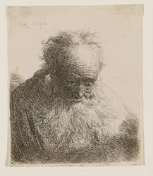 Old Man with Flowing Beard (head bowed forward, left shoulder unshaded)