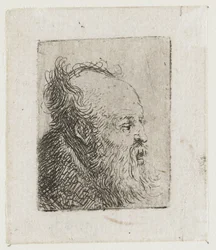 Old Bearded Man, Mouth Half Open