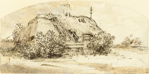 Ruined Thatched Cottage Overgrown with Bushes