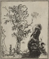 Sheet with Two Studies: A Tree and the Upper Part of a Head of Rembrandt Wearing a Velvet Cap, ca. 1642