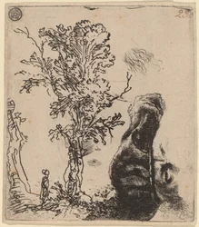 Sheet with Two Studies: a Tree, and the Upper Part of a Head Wearing a Velvet Cap