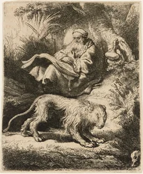 St Jerome reading