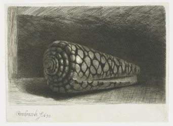 The Shell