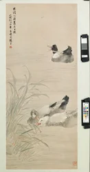 Ducks, 1885