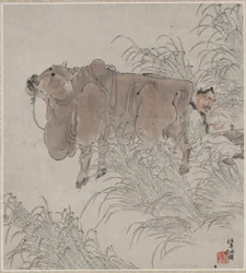 Reading Beside an Ox