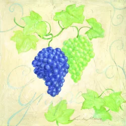 Fresh Blue Green Grapes
