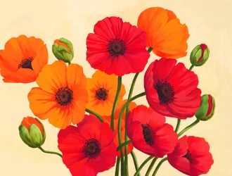 Red Orange Poppies