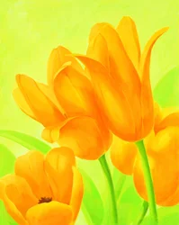 Vibrant Orange Tulips