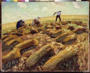 The Harvest