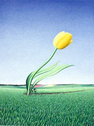 Fast Tulip