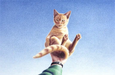 Handfull