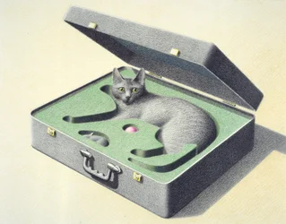 Travelcase 1