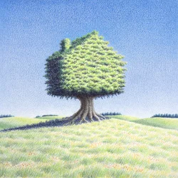 Treehouse