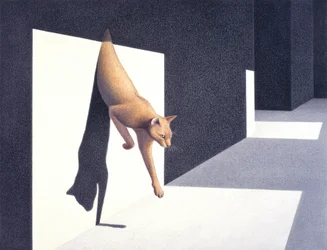 Wall