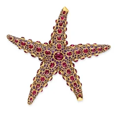 Starfish brooch