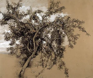 The Charcoal Apple Tree
