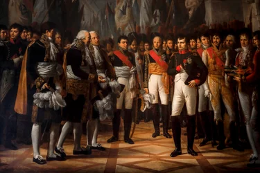 Napoleon receiving the Senate Deputies at the Royal Palace in Berlin