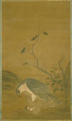 Hawk Capturing A Sparrow