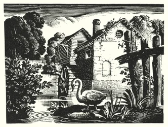 The Ugly Duckling