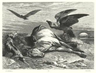 Lord Byron