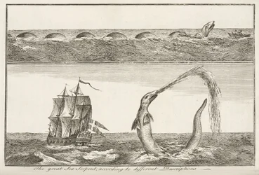 The Great Sea Serpent