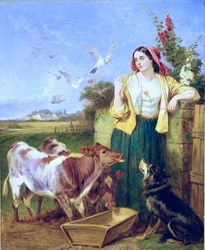 Feeding the Calves